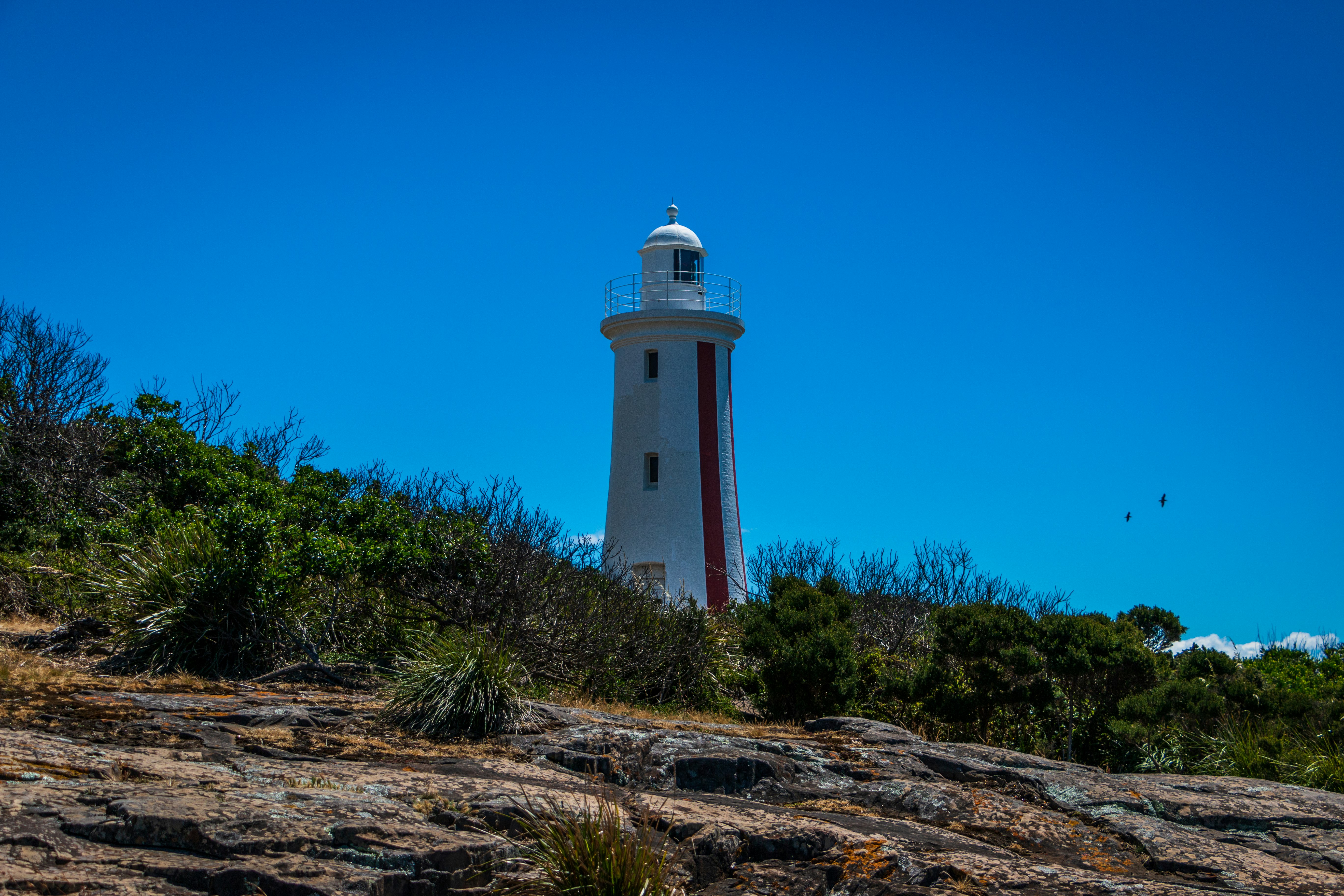 white lighthouse tower